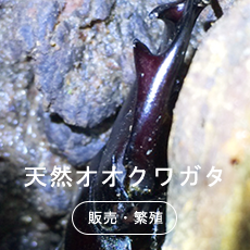 保管用品の販売・卸